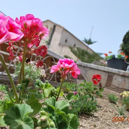The White Alacati
